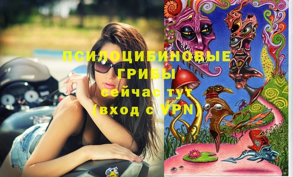 синтетический гашиш Приозерск