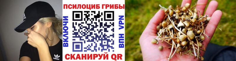 Псилоцибиновые грибы прущие грибы  хочу   Котово 